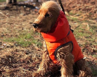 Protezione per orecchie in velluto per cani con paraorecchie bordeaux Protezione per orecchie in velluto per cani con paraorecchie bordeaux