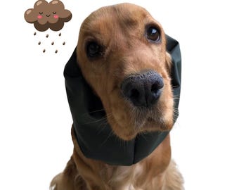 Scaldacollo impermeabile per cani - Protegge le orecchie lunghe del tuo cane prevenendo otiti e altre infezioni auricolari