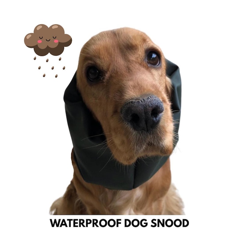 Waterproof Dog Snood - Protects your dog long ears from rain, grass seeds and dirt preventing otitis and other ear infections,Cocker spaniel image 1