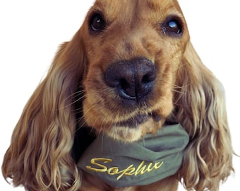 Cotton dog snood - Protects your dog long ears from dirt and grass seeds preventing otitis and other ear infections