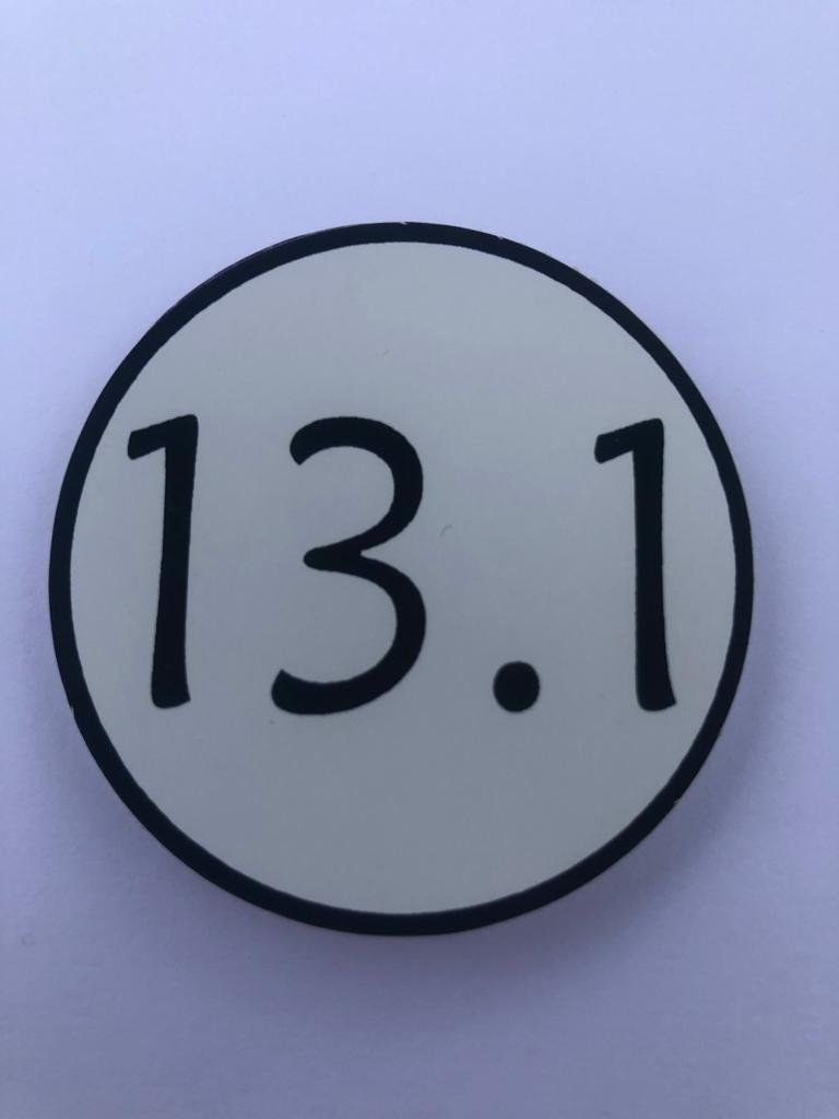 13.1 Decal - Etsy