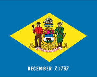 Delaware large state flag decal