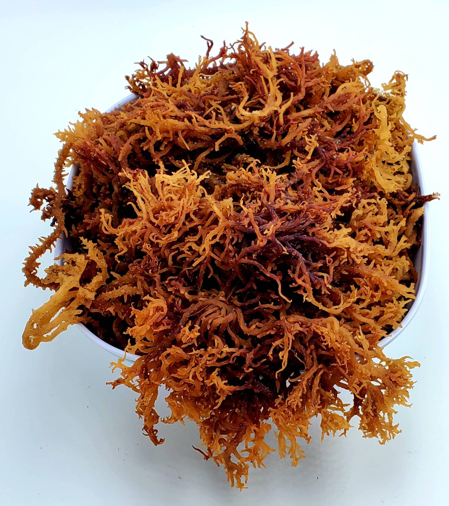 Sea Moss BUY 3 get 1 FREE Wholesale 100lb & 50lb Raw Irish Etsy