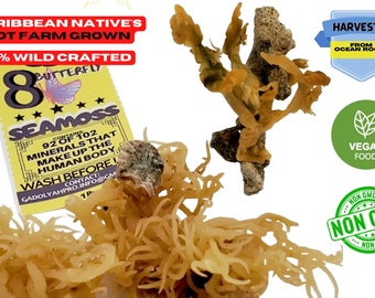 2LB Sea Moss _ Raw Irish moss 100% Wild crafted St Lucia seamoss, purple sea moss full spectrum conchus crispus Wholesale Bulk