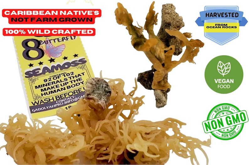 2 LB Sea Moss _ Raw Irish moss 100% Wild crafted St Lucia sea moss, purple sea moss full spectrum conchus crispus 