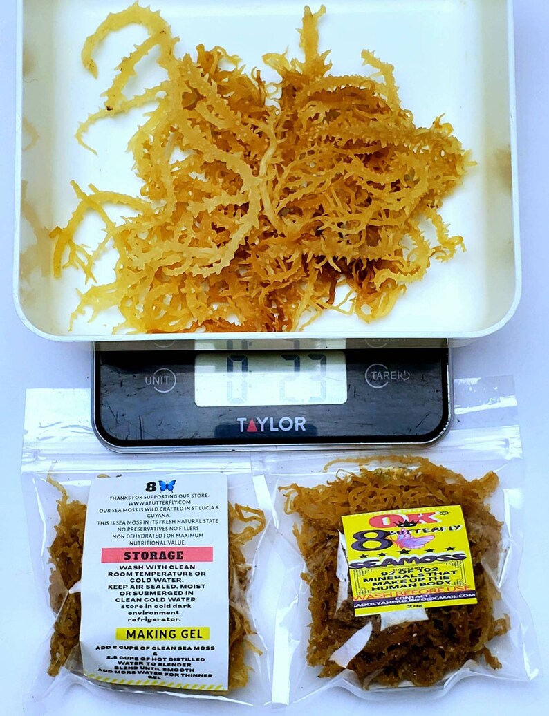 WILD DR SEBI IRISH MOSS SEA MOSS 100/% NATURAL