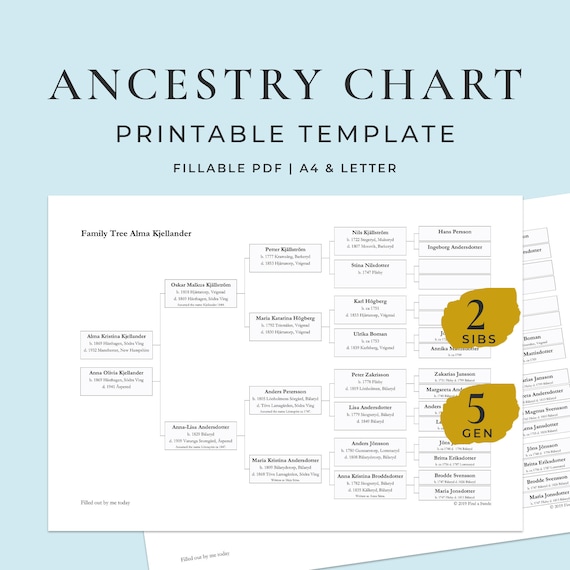 Family Tree 5 Generations 2 Siblings Digital Template Etsy