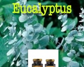 4 oz Eucalyptus - 100% Natural, Raw & Unfiltered Honey (Eucalyptus)