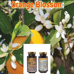4 oz Orange Blossom - 100% Natural, Raw & Unfiltered Honey (Orange Blossom)