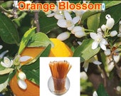 Orange Blossom - 100% Natural, Raw & Unfiltered Honey Sticks (Orange Blossom)