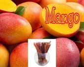 Mango Honey Sticks - Flavor Infused, 100% Natural, Raw & Unfiltered Honey Sticks (Mango)