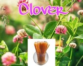 Clover Honey Sticks -100% Natural, Raw & Unfiltered Honey Sticks (Clover)