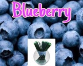 Blueberry Honey Sticks - Flavor Infused, 100% Natural, Raw & Unfiltered Honey Sticks (Blueberry)