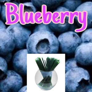 Blueberry Honey Sticks - Flavor Infused, 100% Natural, Raw & Unfiltered Honey Sticks (Blueberry)