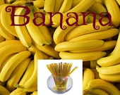 Banana - Flavor Infused, 100% Natural, Raw & Unfiltered Honey Sticks (Banana)