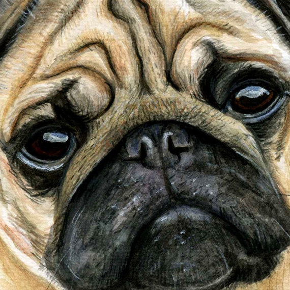 不機嫌なパグの水彩画オリジナル / 犬好きの方へのかわいい面白い犬の