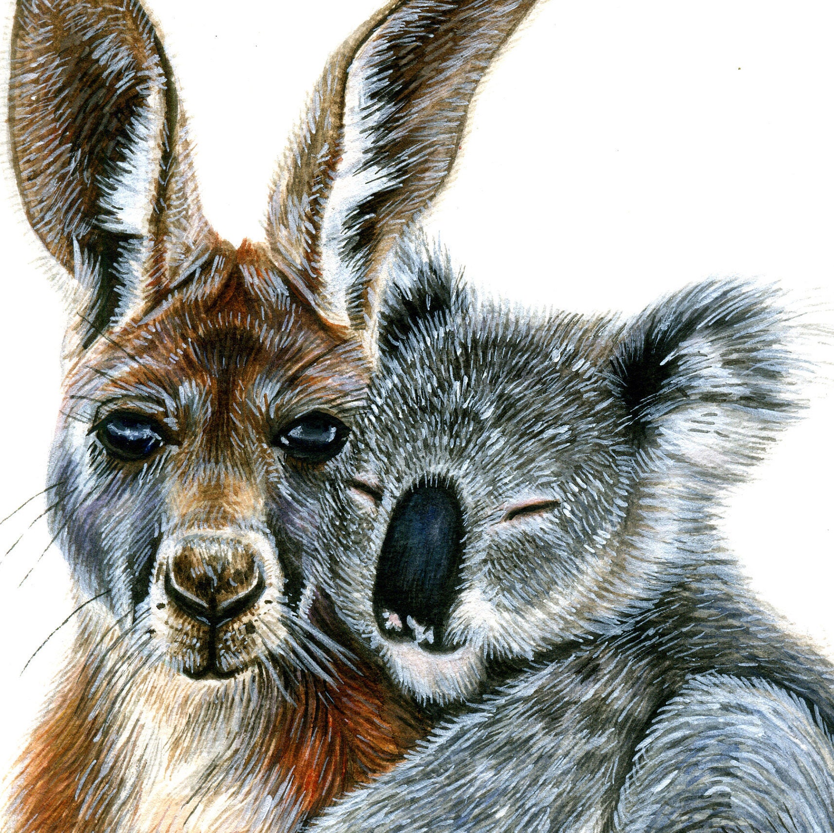 Koala Bear & Kangaroo Painting, Australian Art Print, Australia Wildlife  Wall Art, Cute Nursery Animal Wall Decor, Wildlife Wall Decor Gifts -   Canada