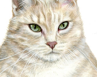 Personalisiertes Katzenportrait Aquarell Malerei, Kätzchen Aquarell Tabby Cat Art, HaustierPortrait Geburtstagsgeschenk für Katzenliebhaber, Haustier Verlust Erinnerung