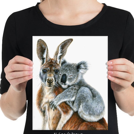 Koala Bears & Kangaroo Koala Bears & Kangaroo