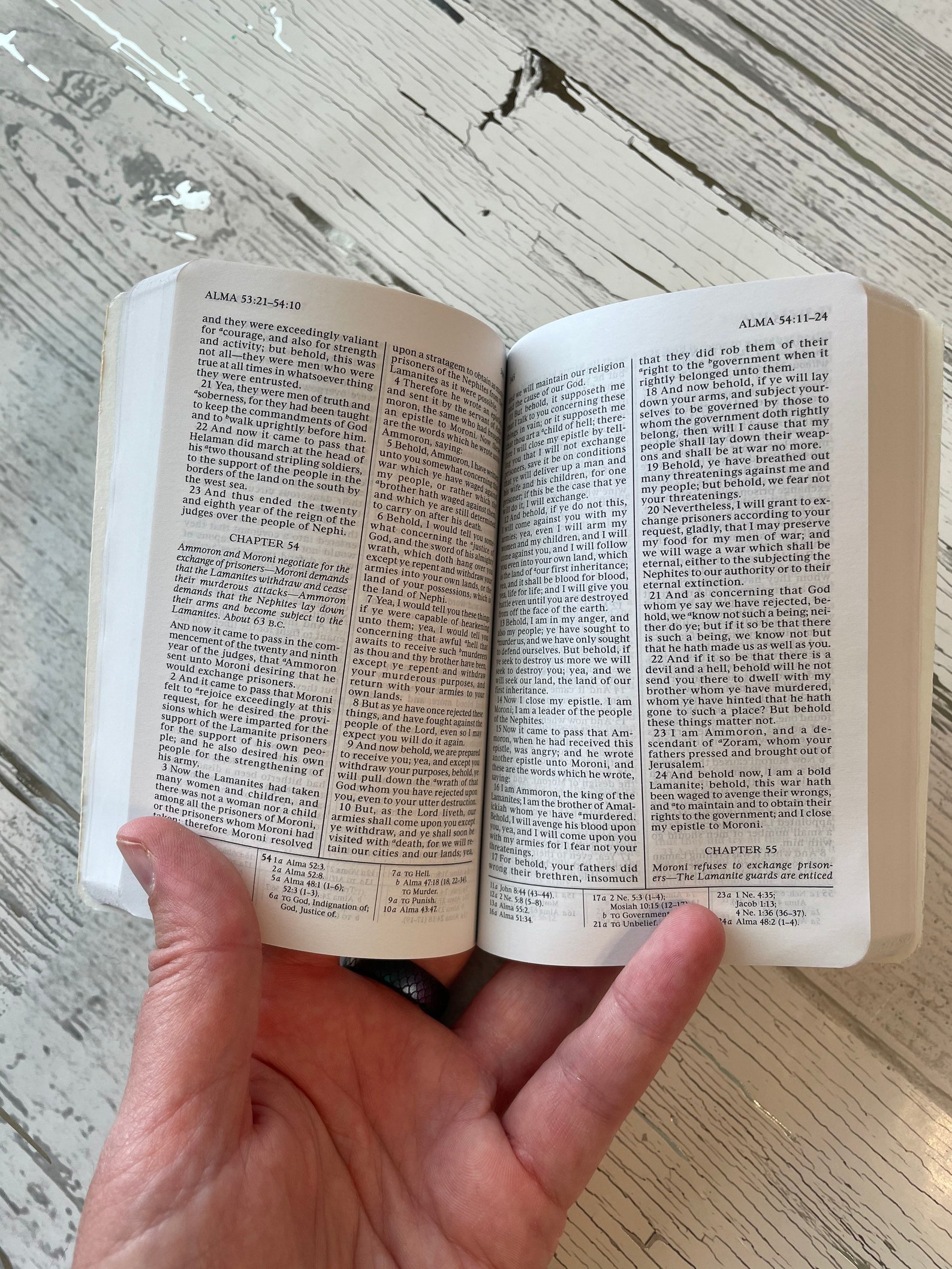 Pocketsized Book of Mormon Paperback Painted Book of Etsy