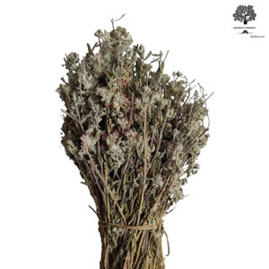 Peut inclure: Un bouquet d'herbes séchées vertes et brunes liées ensemble avec de la ficelle. Les herbes sont probablement utilisées en cuisine ou en médecine.