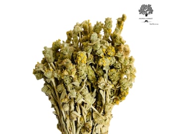 Greek Mountain Tea Malotira Sideritis Syriaca Cretan | Harvest June 2023 | Exceptional Quality