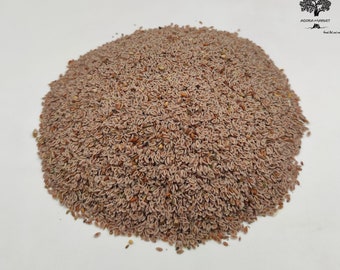 Dried Whole Psyllium Seeds 85g(3 oz) - 1.95Kg(68.8 oz) Plantago Indica