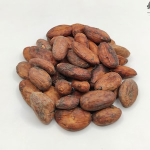 Raw Cacao Beans 85g(3 oz) - 1.95Kg(68.8 oz) Theobroma Cacao Premium Quality