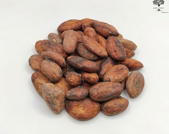 Fave di cacao crudo 85 g (3 oz) - 1,95 kg (68,8 oz) Theobroma Cacao qualità premium
