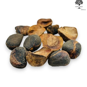 Dried Kola Nuts 220 Grams (7.8 oz) Premium Quality Cola Acuminata