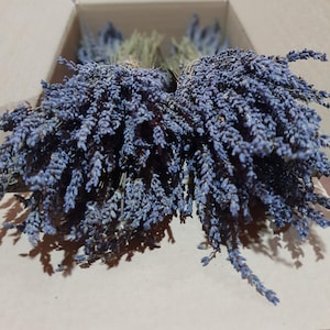 Greek Dried Lavender Bunches Bouquets | Organic | 300 stems each | 1 - 22 bunches | 30-32 cm | Harvest July 2025 | Exceptional Quality