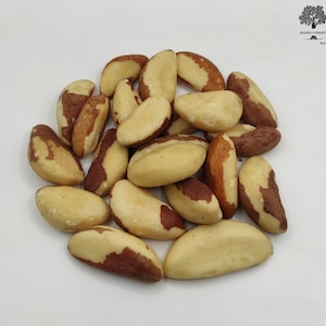 Dried Brazil Nuts 40g(1.4 oz) - 1,95kg(68.8 oz) Bertholletia excelsa