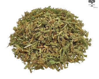 Hierba seca de Lycopodium clavatum (25 g - 1,95 kg) / USA DDP – Sin aranceles de importación