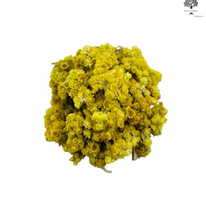 Getrocknete Helichrysum Immortelle Strohblumen 85g - 1,95Kg