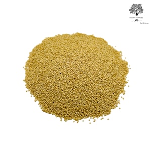 Può includere: Primo piano di un mucchio di semi di amaranto, un piccolo grano rotondo di colore marrone dorato.