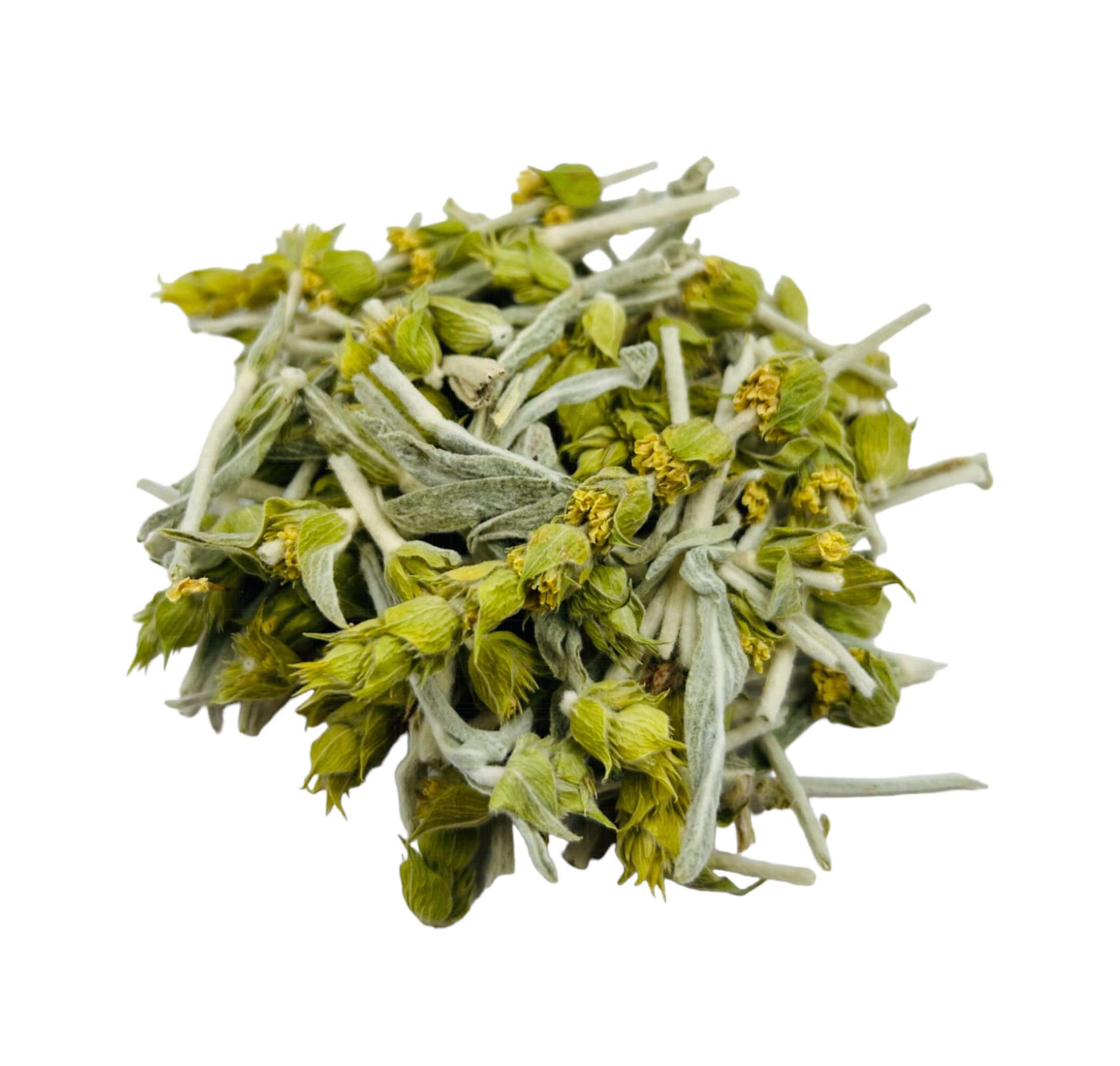 Greek Mountain Tea (Sideritis syriaca), Malotira of the Cretan diet