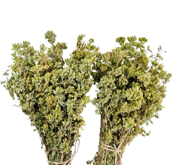 Certified Organic Greek Mountain Oregano – Grated Leaves, Origanum Vulgare, All-Natural