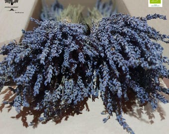 Mazzi di lavanda greca essiccata / Biologica / 300 steli ciascuno / 1 - 22 mazzi / 30-32 cm / Raccolta luglio 2025 / Qualità eccezionale