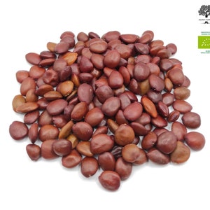 Greek Certified Organic Carob Seeds 40g(1.4 oz) - 1.95Kg(68.8 oz) | Ceratonia Siliqua Harvest 2024 - Certificate Bio Code: GR-BIO-15