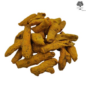 Dried Turmeric Whole Root 85g(3 oz) - 1.95KG(68.8 oz) | Haldi Curcuma