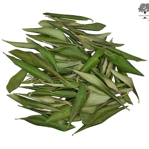 Hojas de olivo secas griegas 85 g (3 oz) - 1,95 kg (68,8 oz) Cosecha marzo de 2026 / DDP de EE. UU. – Sin aranceles de importación