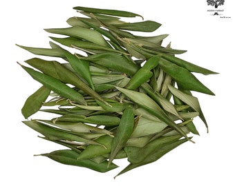 Greek Dried Olive Leaves 85g(3 oz) - 1.95Kg(68.8 oz) Harvest March 2024