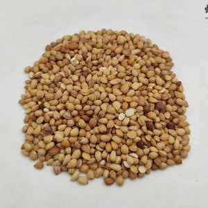 Puede incluir: Una vista cercana de un montón de semillas de cilantro de color marrón claro. Las semillas son pequeñas y redondas, con una textura ligeramente arrugada.