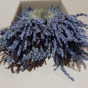 Mazzi di lavanda greca essiccata Mazzi biologici 1500 steli 300 * 5 mazzi 30 - 32 cm Raccolto luglio 2025 Qualità eccezionale
