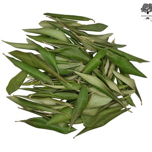 Foglie di ulivo greco essiccate 220 g (7,8 oz) Raccolto marzo 2025