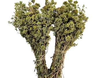 Greek Dried Mountain Oregano Bunch | 220g(7.8oz) - 1.95Kg(68.8oz) Harvest June 2026 | Premium Quality | Origanum Vulgare