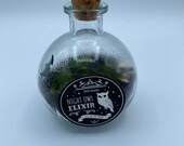 Spooky halloween mini terrarium kit