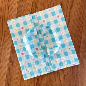 Fruit Gingham Pie Carrier