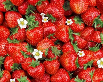 Berry Sweet, Red Packed Sweet Strawberries, Strawberry, Timeless Treasures, 100% Cotton Quilting Fabric