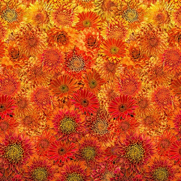 Ombré Mums Metallic Flowers Thankful Floral Autumn Fall Timeless Treasures 100% Cotton Quilting Fabric